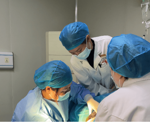 尊龙凯时人生就是博--官网入口