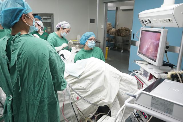 尊龙凯时人生就是博--官网入口